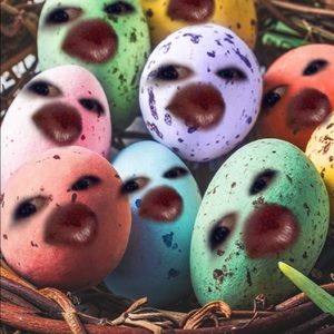 Meet your Posher, Danni